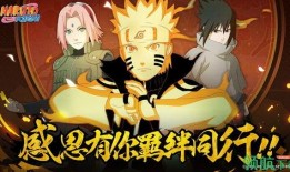 火影大事爆料视频大全下载,揭秘忍者世界背后的秘密与传奇